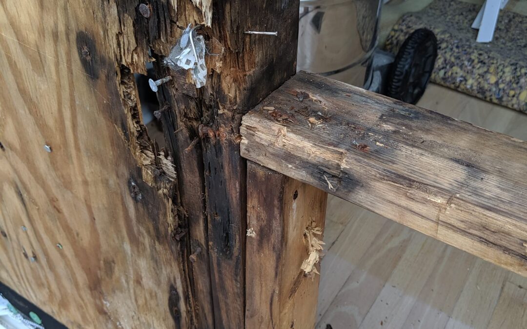 Signs of Rotten Wood: When It’s Time to Replace Your Home’s House Bands