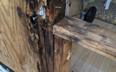 Signs of Rotten Wood: When It’s Time to Replace Your Home’s House Bands