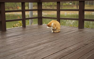 Elevate Your Home’s Value with Stunning Custom Deck Designs